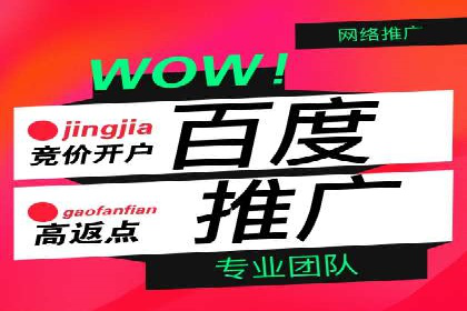 行业专家解析SEM代运营成功案例